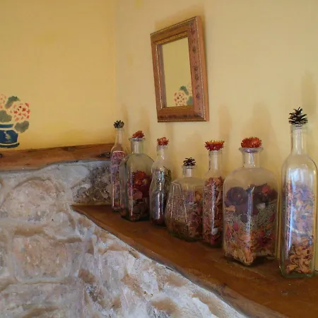 Estrella Polar Ii Arcones