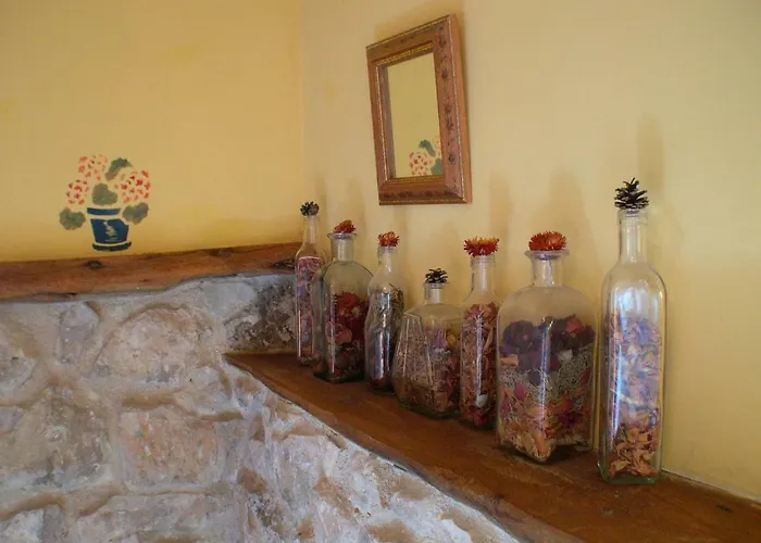 Estrella Polar Ii Arcones